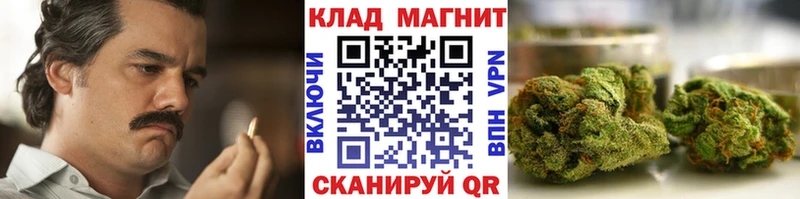 Где купить Волгодонск Галлюциногенные грибы  Меф  Метамфетамин  Кокаин 