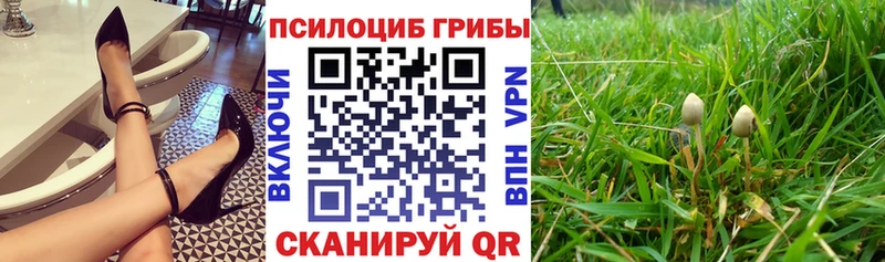 omg ТОР  Волгодонск  Галлюциногенные грибы ЛСД 